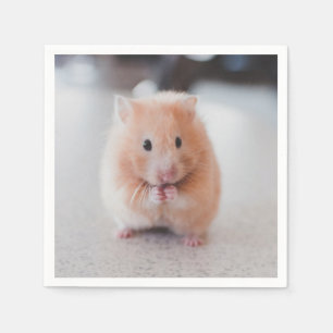 Cute Hamster Kärlek Animals Pappersservett