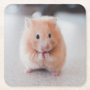 Cute Hamster Kärlek Animals Underlägg Papper Kvadrat