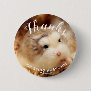 Cute Hamster Tack för att du är Fantastisk Knapp