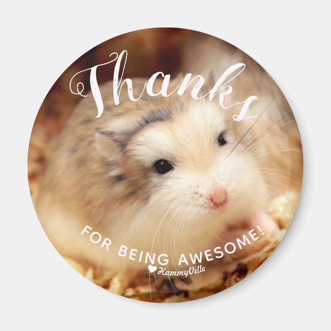 Cute Hamster Tack för att du är Fantastisk Magnet (Framsidan)