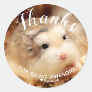 Cute Hamster Tack för att du är Fantastisk Runt Klistermärke