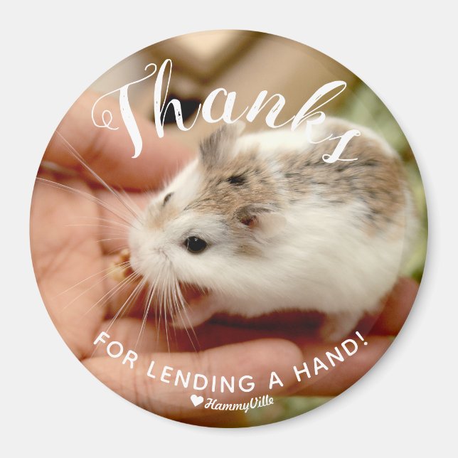 Cute hamster tack vare att man lånat ut en hand magnet (Framsidan)
