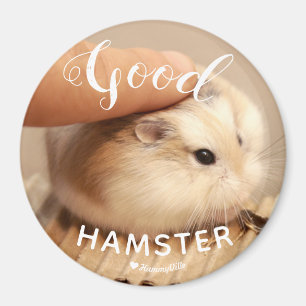 Cute Hamter är en Bra Hamster Magnet