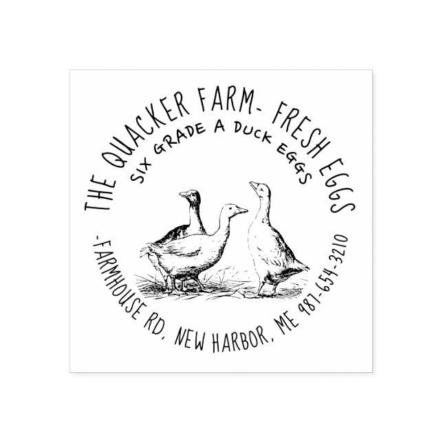 Cute Hand plockade Illustration Local Anka Egg Car Stämpel (Tryck)