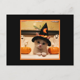 Cute Happy halloween Kattunge och Witch Hat Vykort