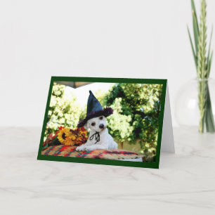 Cute Happy thanksgiving Hund-gratulationskort Helgkort