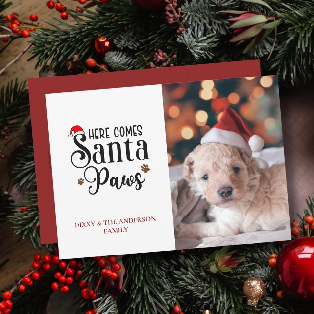 Cute här kommer julfoto från Santa Tass Hund Julkort (Skapare uppladdad)