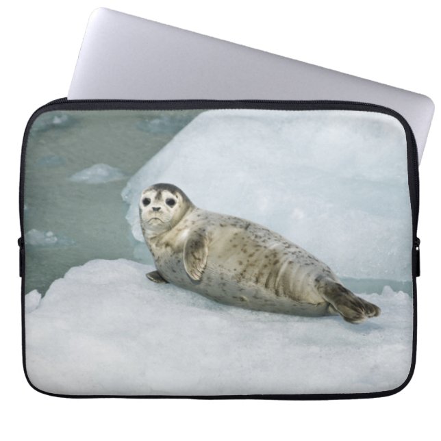 Cute Harbour Seal på Snö Laptop Fodral (Framsidan)