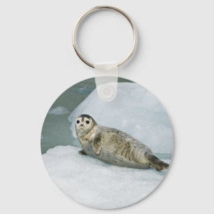 Cute Harbour Seal på Snö Nyckelring