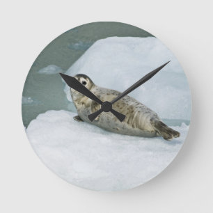 Cute Harbour Seal på Snö Rund Klocka