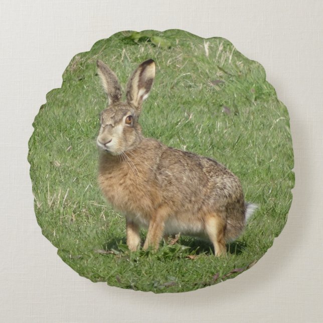 Cute Hare Close Round Pillow Rund Kudde (Framsidan)