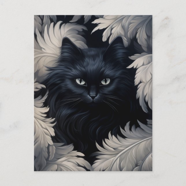 Cute Hårig Black Cat, omgiven av vita fjädrar Vykort (Framsida)