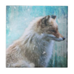 Cute Hårig Fox på Blue Grunge Background Kakelplatta<br><div class="desc">Keramisk platta med ett foto av en söt räv stående ensam. Sätt på en blå grinig bakgrund.</div>