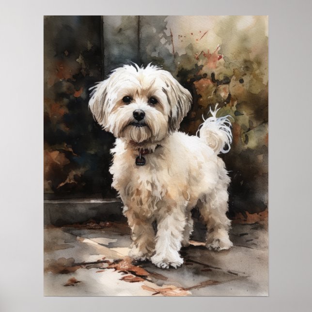 Cute Havanese Hund Art Print Poster (Framsidan)