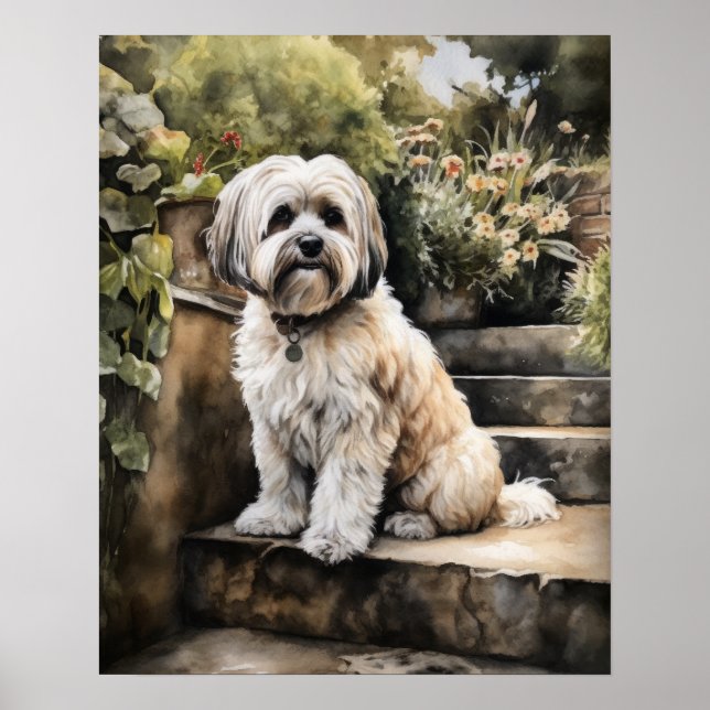 Cute Havanese Hund Art Print Poster (Framsidan)