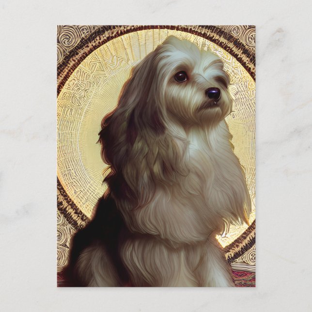 Cute Havanese Puppy Hund vykort (Framsida)