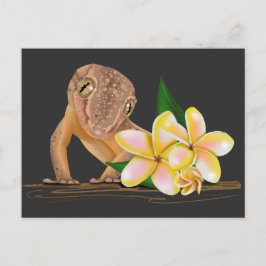 Cute Hawaii Gecko Vykort