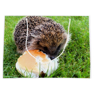 CUTE HEDGEHOG