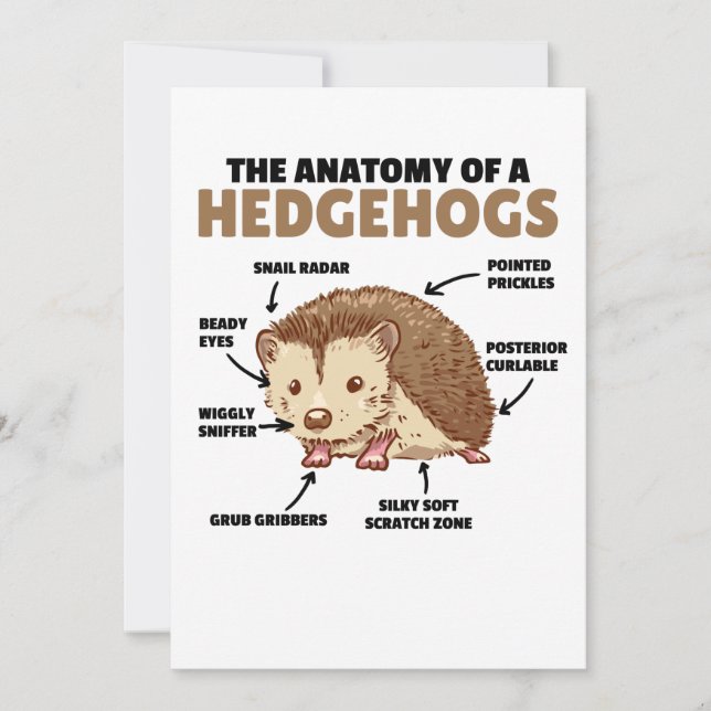 Cute Hedgehog-förklarande anatomi hos en Hedgehogs Inbjudningar (Framsida)