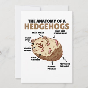 Cute Hedgehog-förklarande anatomi hos en Hedgehogs Inbjudningar