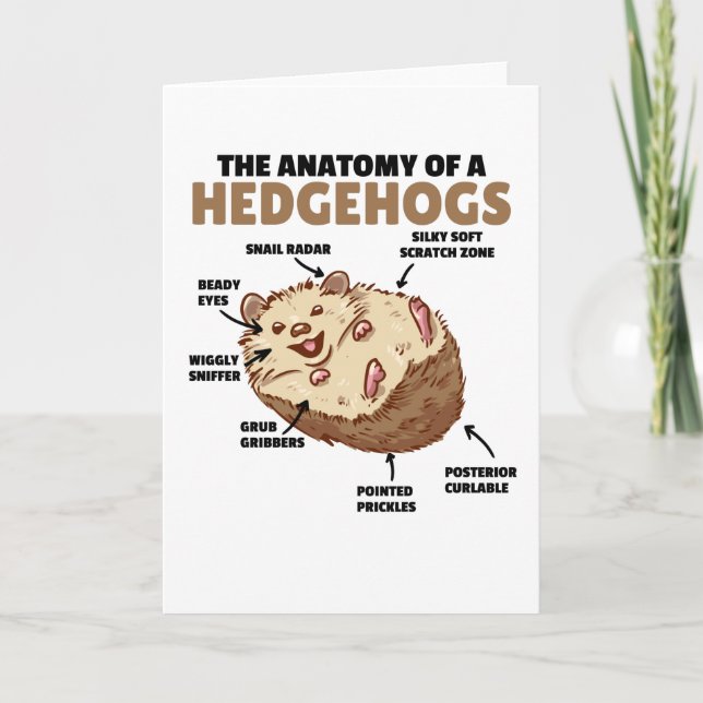 Cute Hedgehog-förklarande anatomi hos en Hedgehogs Kort (Framsida)
