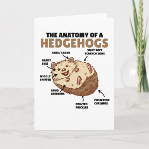 Cute Hedgehog-förklarande anatomi hos en Hedgehogs Kort