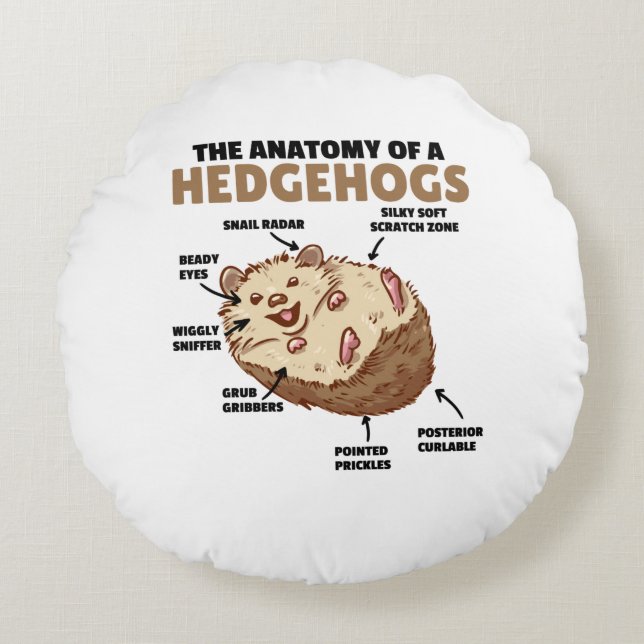 Cute Hedgehog-förklarande anatomi hos en Hedgehogs Rund Kudde (Framsidan)