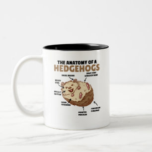 Cute Hedgehog-förklarande anatomi hos en Hedgehogs Två-Tonad Mugg
