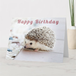 Cute Hedgehog - Grattis på födelsedagen Card Kort