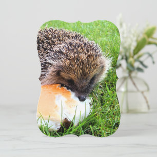 CUTE HEDGEHOG-inbjudan