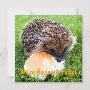 CUTE HEDGEHOG-INBJUDAN