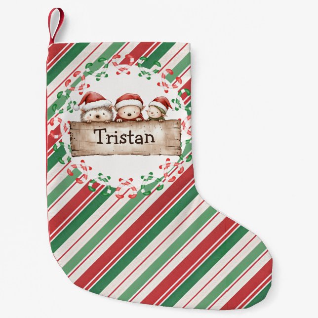 Cute Hedgehog Kids namn Liten Julstrumpa (Framsidan)