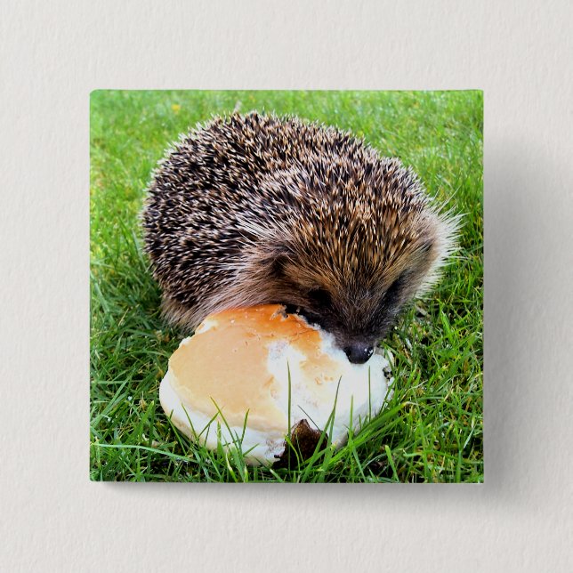 CUTE HEDGEHOG KNAPP (Framsida)