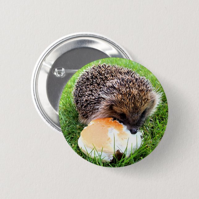CUTE HEDGEHOG KNAPP (Framsida & baksida)