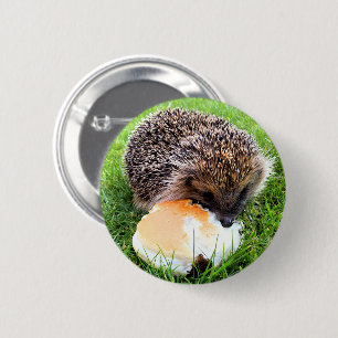 CUTE HEDGEHOG KNAPP