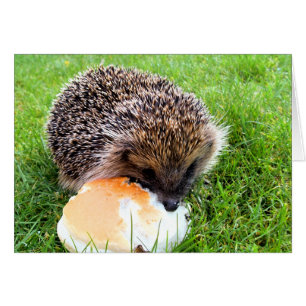 CUTE HEDGEHOG-kort Hälsningskort