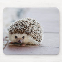 Cute Hedgehog, Mouse Pad