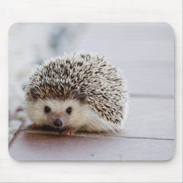 Cute Hedgehog, Mouse Pad Musmatta