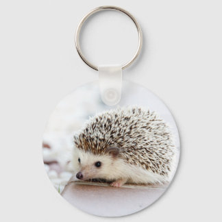 Cute Hedgehog Nyckelring