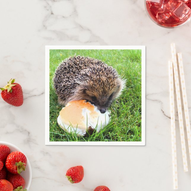 CUTE HEDGEHOG PAPPERSSERVETT (Insitu)