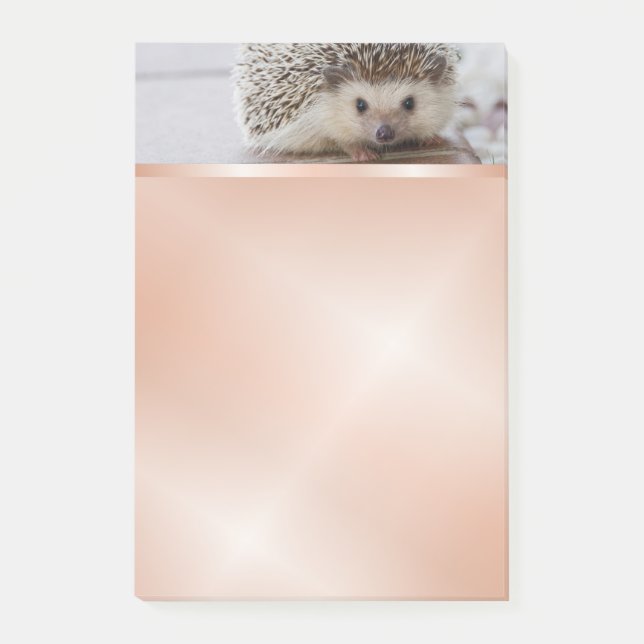 Cute Hedgehog Photo Ro Guld Post-it Block (Framsida)