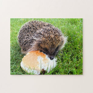 CUTE HEDGEHOG PUSSEL