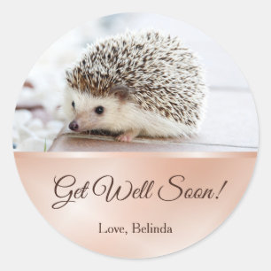 Cute Hedgehog Ro Guld kommer bra Runt Klistermärke