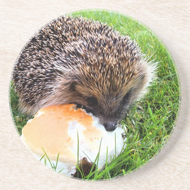 CUTE HEDGEHOG UNDERLÄGG (Framsidan)