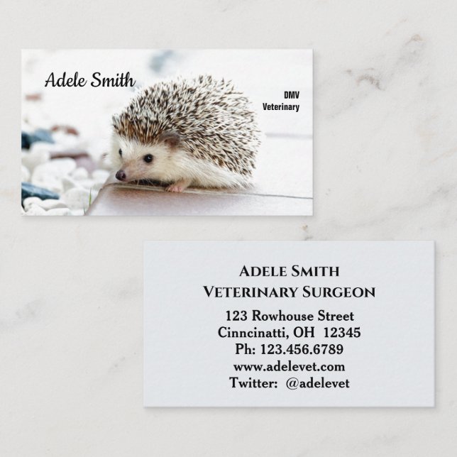 Cute Hedgehog Veterinarian Standard Affärskort Visitkort (Fram/baksida)