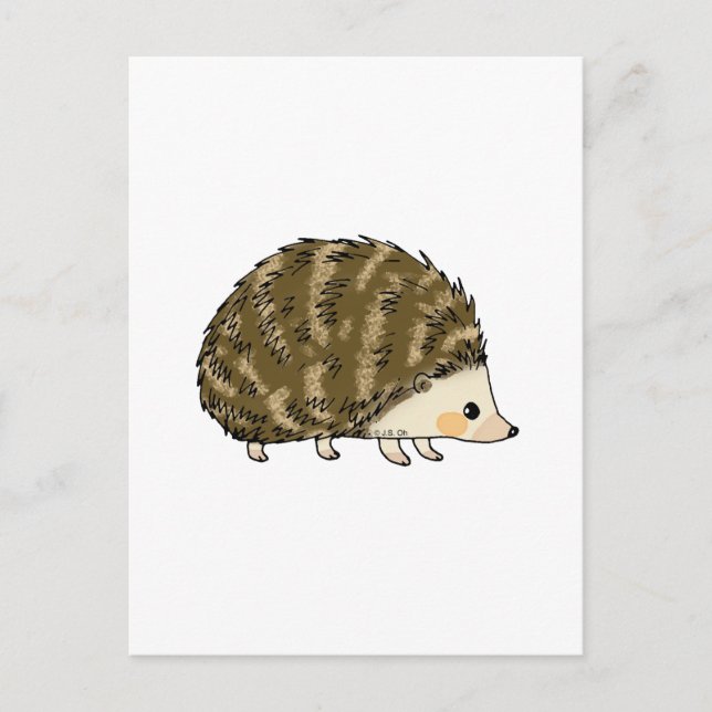 Cute hedgehog vykort (Framsida)