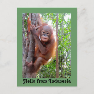 Cute Hej från Indonesien Vykort