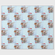 Cute helgdag Dachshund hund Julafton festive hat s