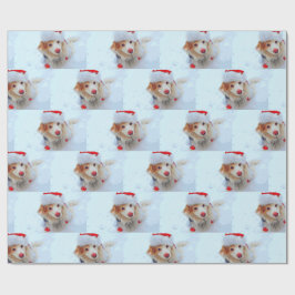 Cute helgdag Dachshund hund Julafton festive hat s Presentpapper