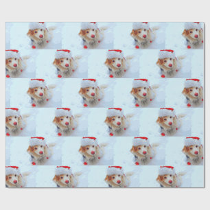 Cute helgdag Dachshund hund Julafton festive hat s Presentpapper